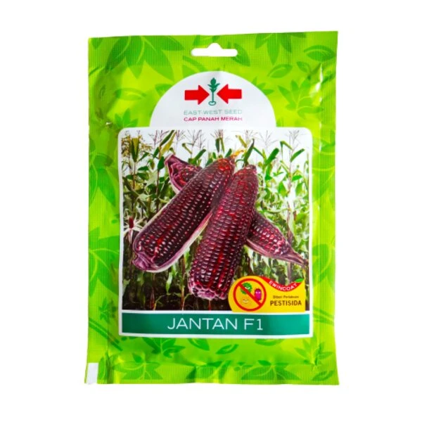 Benih Jagung Ungu
