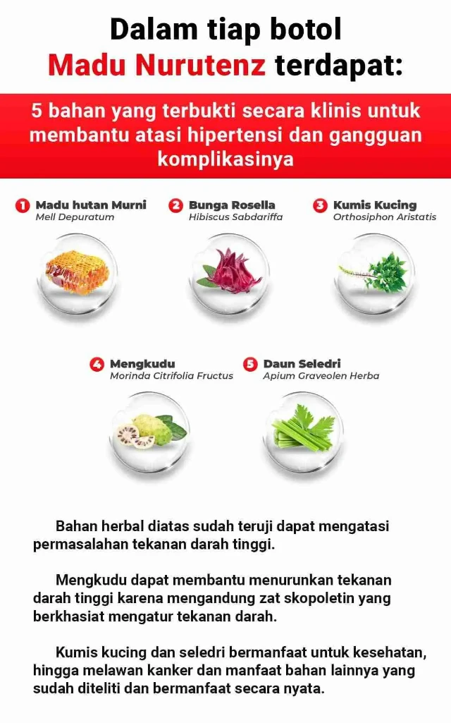 1763536288277-7ca20607702447fb8dd669f4e2fc0609