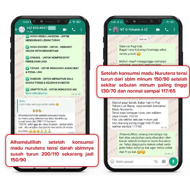 1763536378934-testimo2