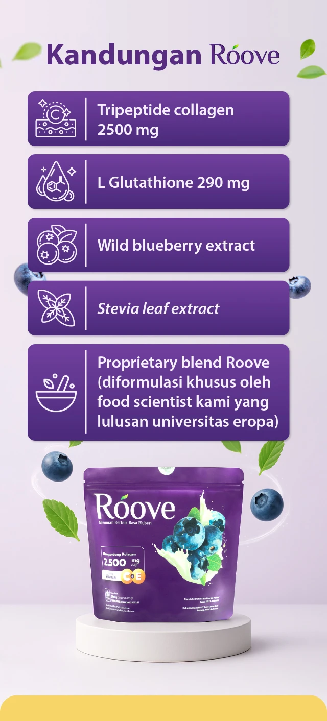 1763542799085-AZM_DIM_LP_ROV_010925 3