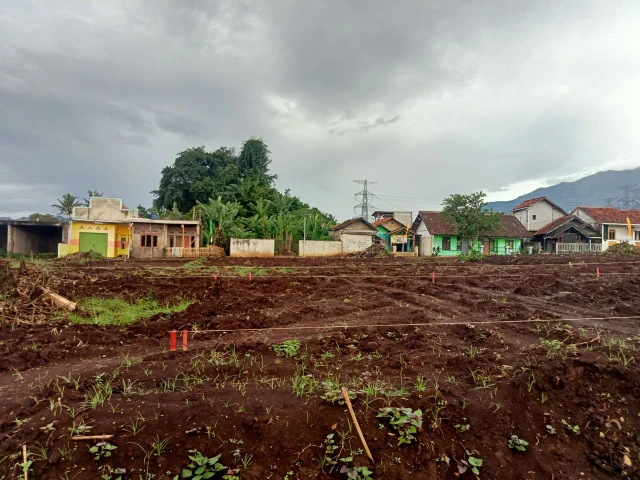 1763610464466-photo_2025-11-18_17-36-43