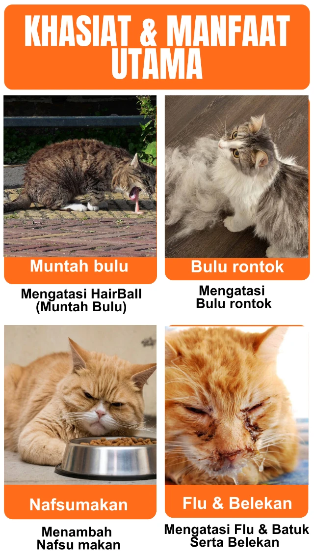 1763696051218-Landing Page - Catnip - Holycat (2)
