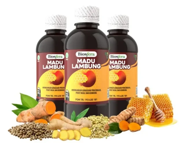 1763698441995-photo_2023-07-01-09.33.59-1