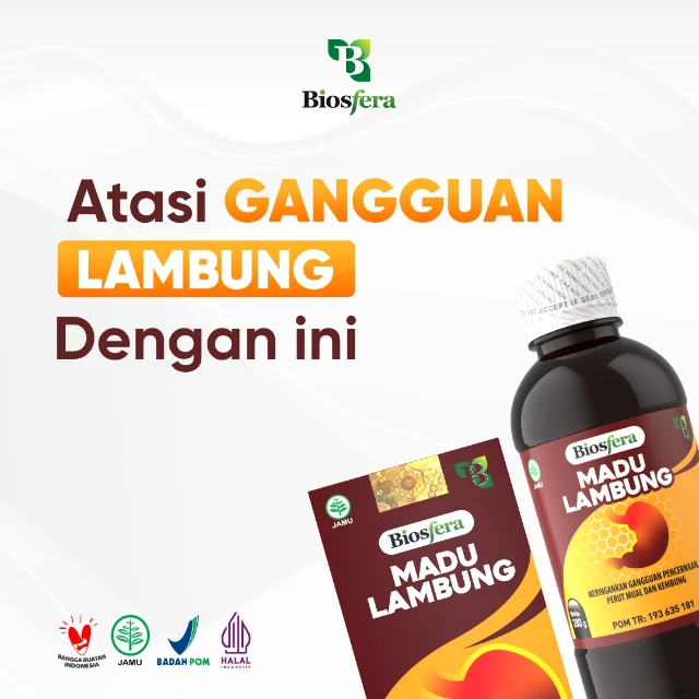 1763706807686-ADS IMAGE GANGGUAN LAMBUNG_1