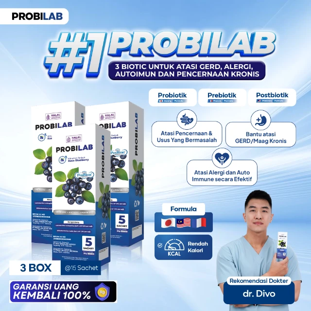 1763709114363-COVER UTAMA Bluberry 3.webp
