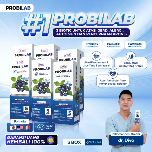 1763709117551-COVER UTAMA Bluberry 6.webp
