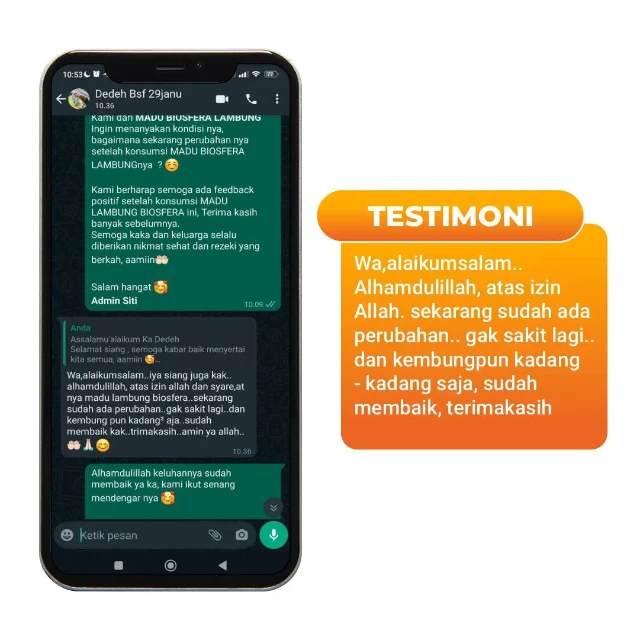 1763711969024-TESTIMONI 3