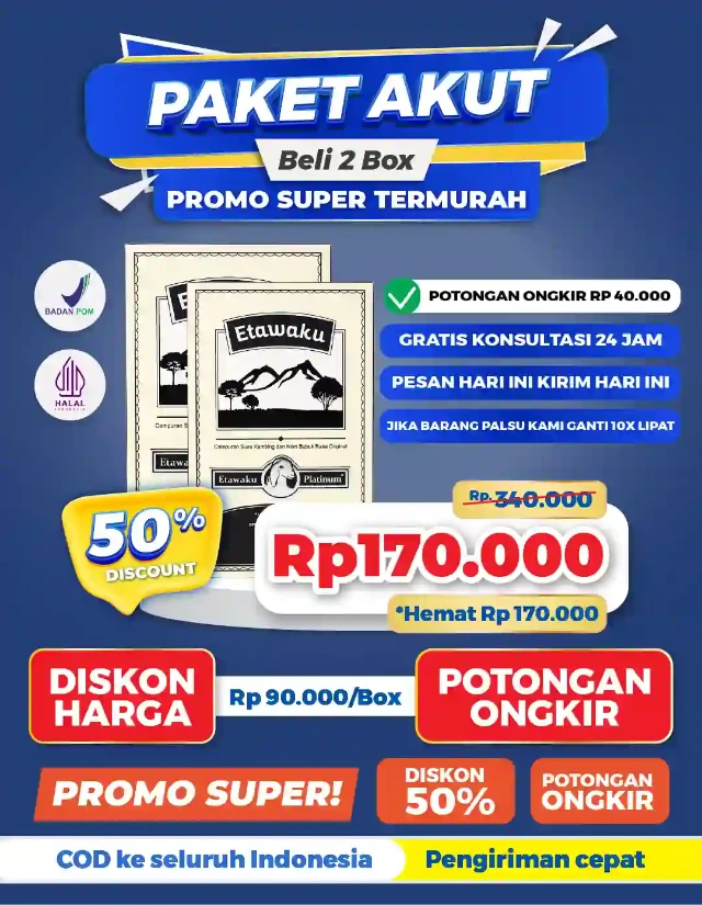 1764054999001-paket2