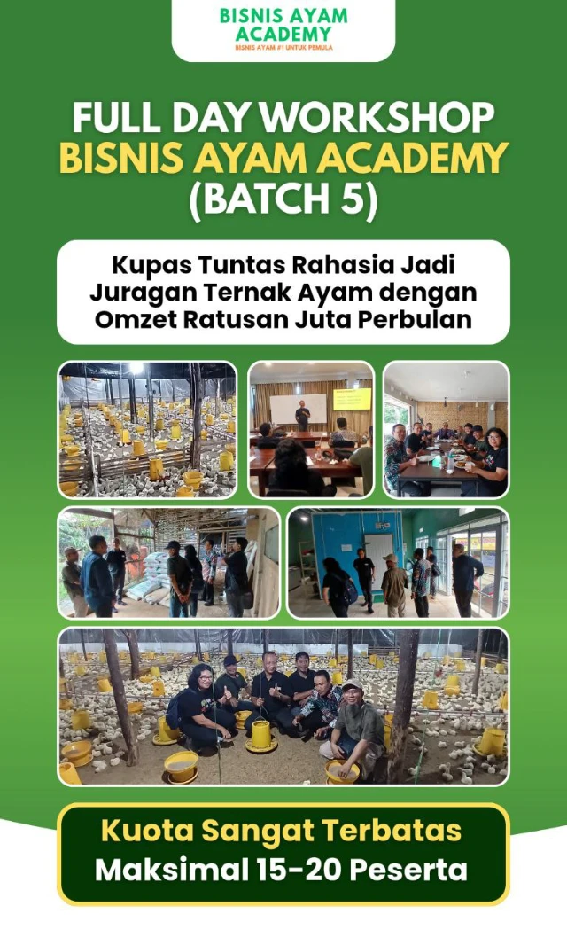 1764294380912-photo_6145363585534724998_y