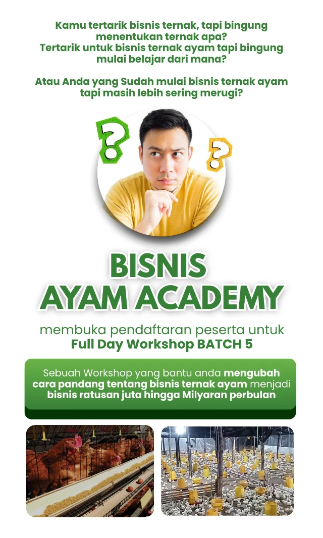 1764298405169-photo_6145363585534725035_w