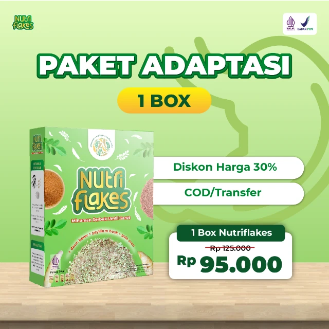 1764579506530-LP Oktober-07