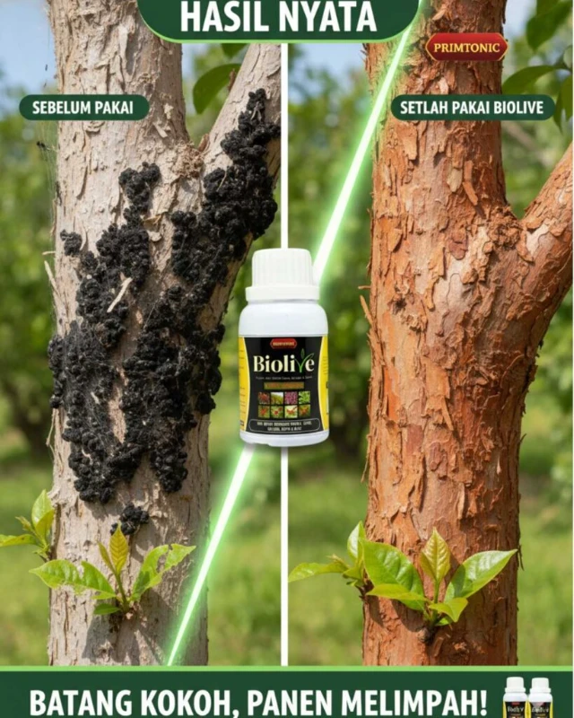 1764746154251-testi 3.webp