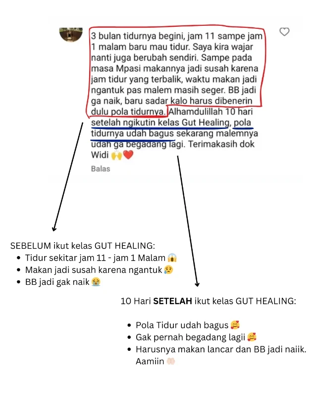 1765160511286-1730712322150-Gut_1