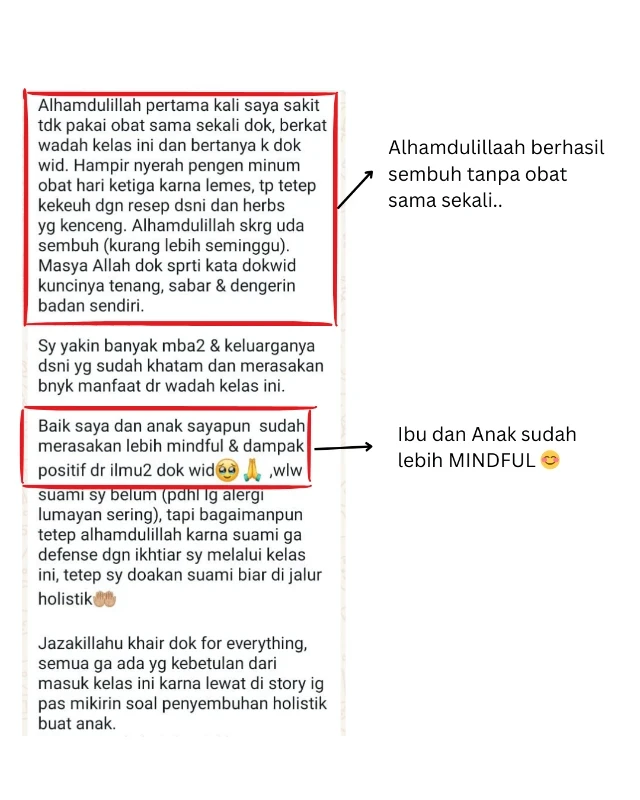 1765160520080-1730712353279-Gut_2