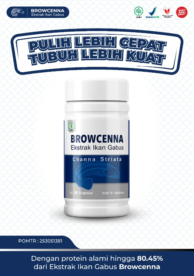 1765161850512-LP Browcenna (5)