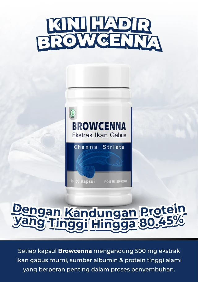 1765162032086-LP Browcenna (6)