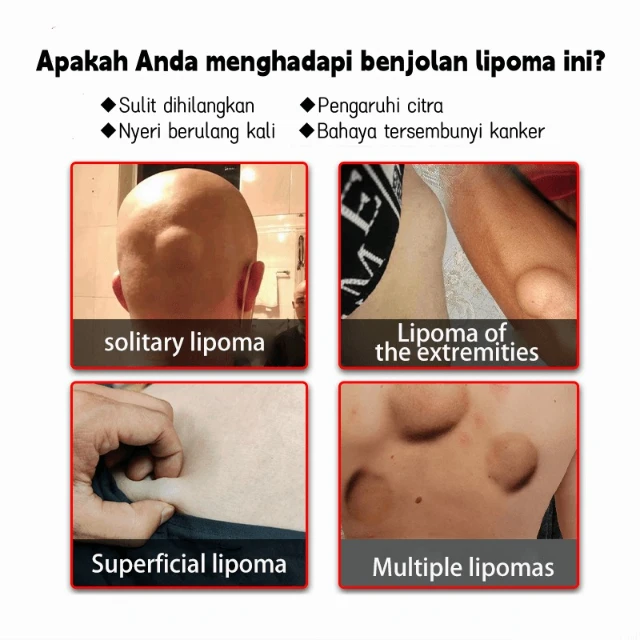 1765242686060-CxACit5cflrwiJ3CxAjninEPyk7ApHTaqODB96NZFOA