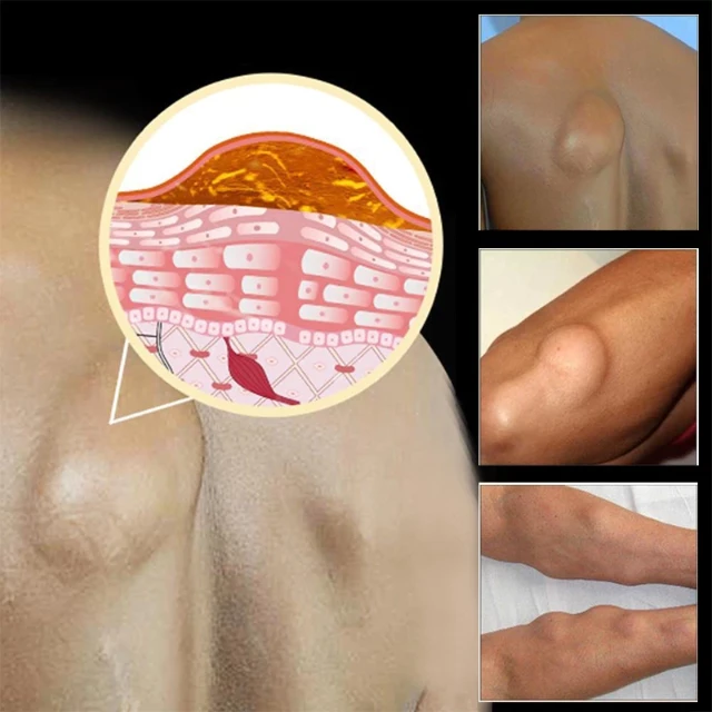 1765242841738-id-11134207-7r98t-lyfz71wz0y6gd5