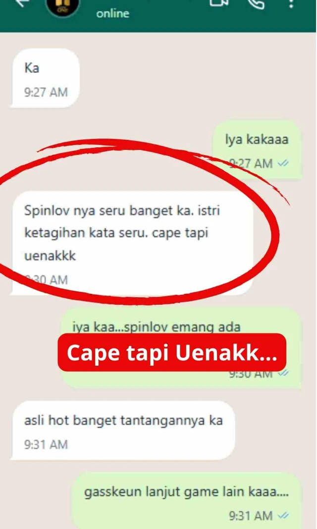 1765250252899-testi meetlov 7.webp