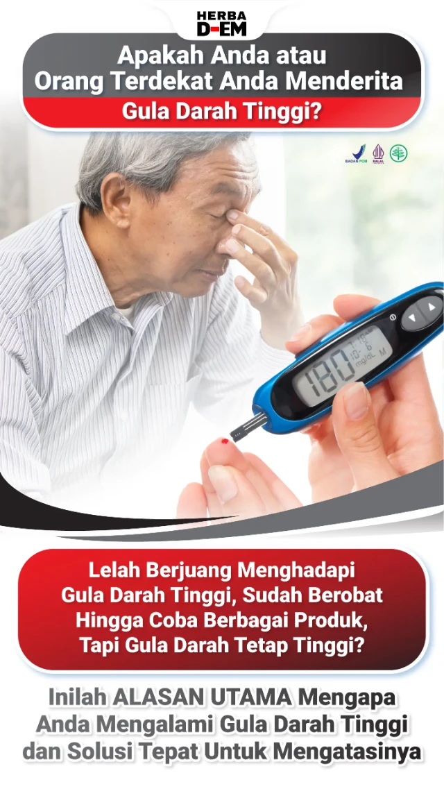 1765250556768-01 (2)