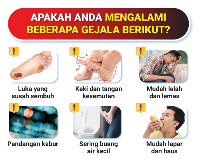 1765250789285-04 (1)