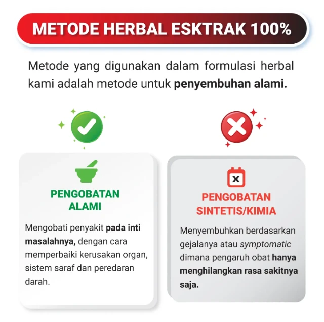 1765250984435-10 (2)