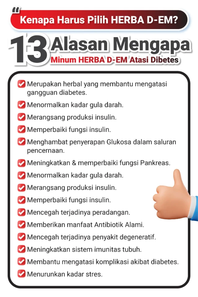 1765251015674-12 (4)