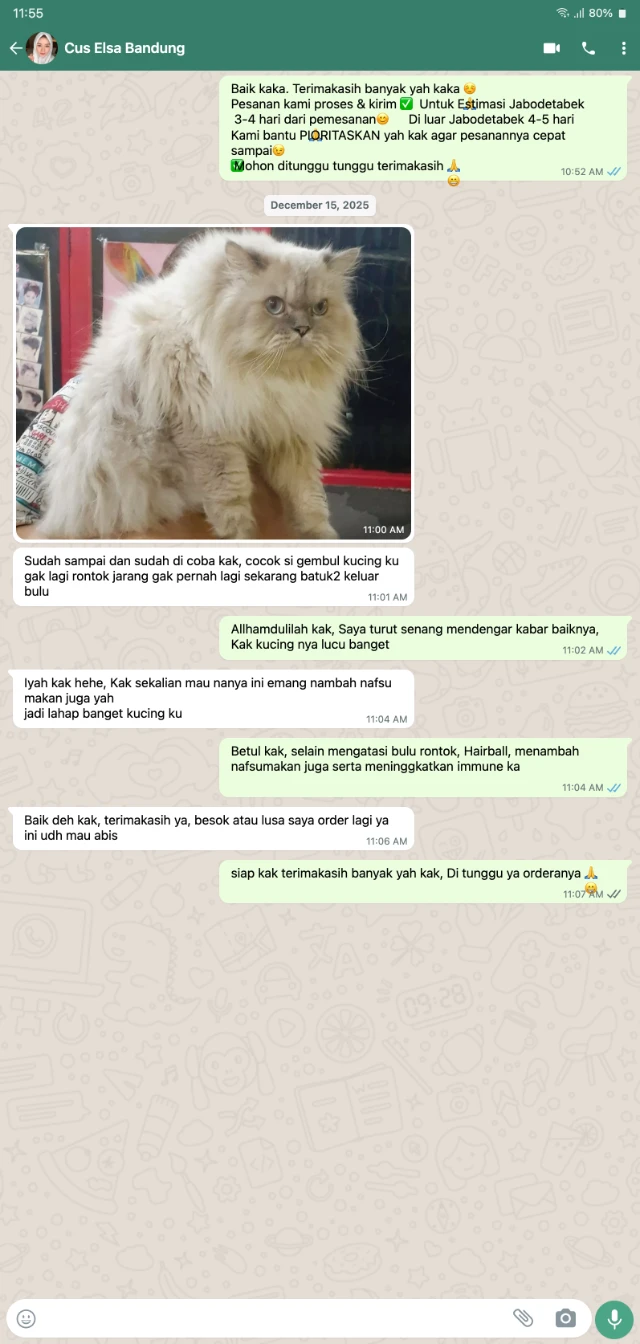 1765862976675-chats-whatsapp-7NUbNUnhXvmGjDJFLqFB4j (5)