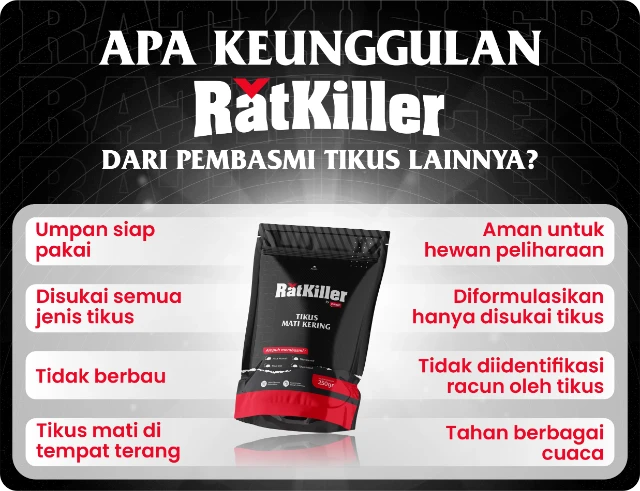 1765953205727-keunggulan_bsp