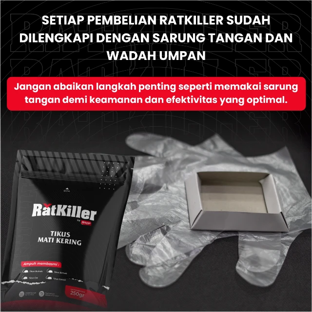 1765953238402-setiap pembelian free sarung tangan_bsp