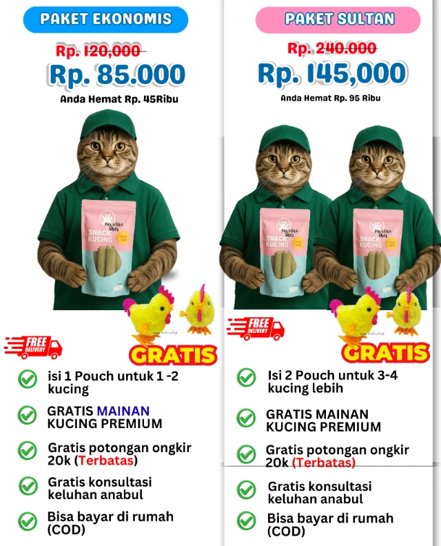 1766398298266-Landing Page A taufik (9)