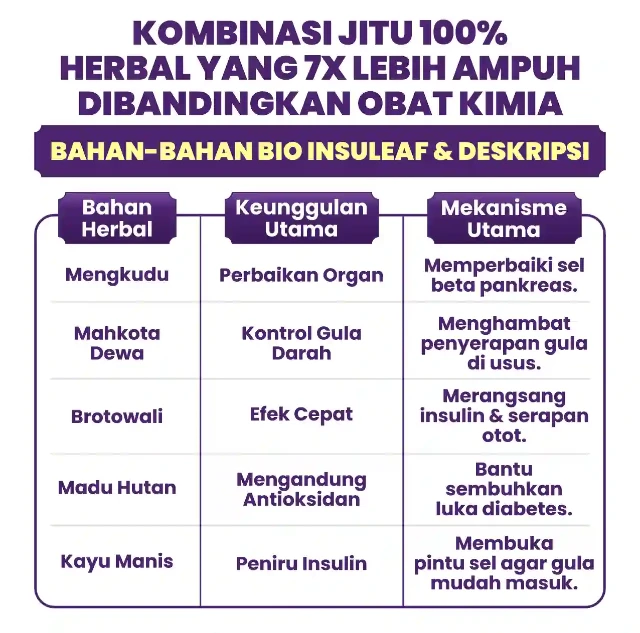 1766733606631-ezgif.com-webp-maker - 2025-12-26T141121.415