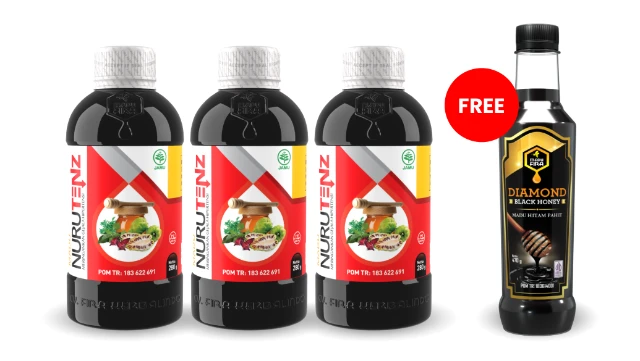 1766767648451-Nurtenz-3