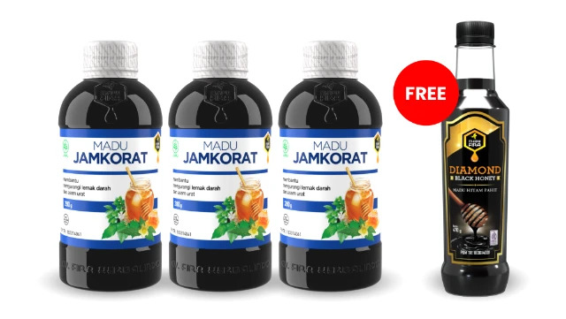 1766808284518-Jamkorat-3