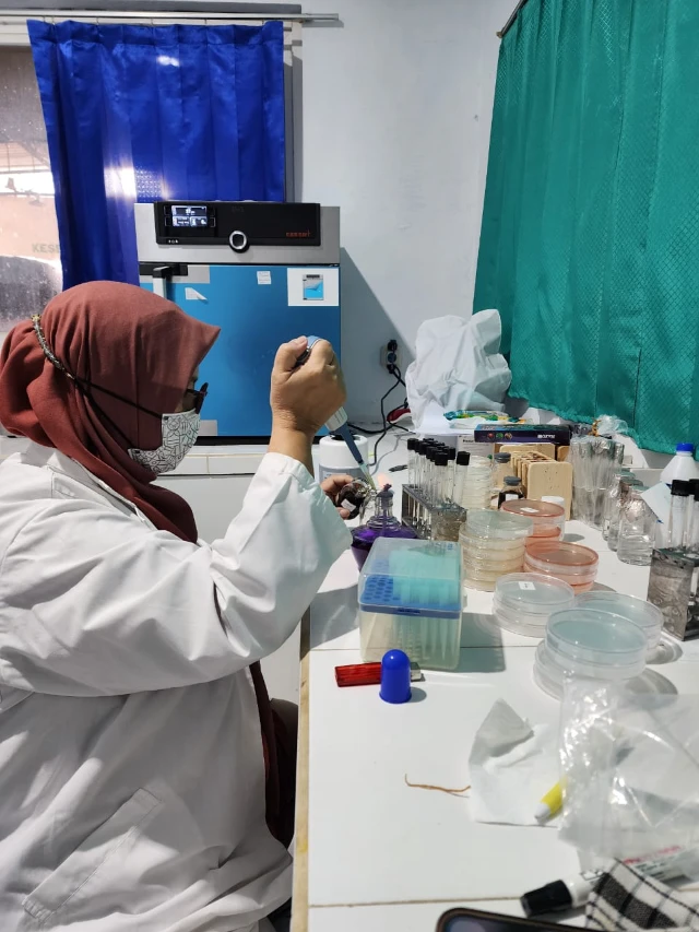 1767233067048-WhatsApp Image 2026-01-01 at 09.07.50