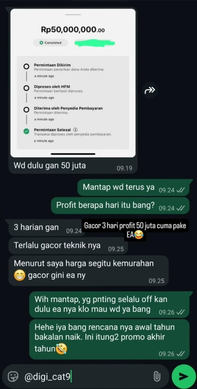 1767380917426-WhatsApp Image 2026-01-03 at 00.48.46 (1).webp