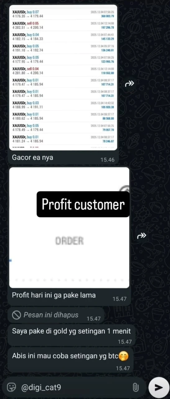 1767380925838-WhatsApp Image 2026-01-03 at 00.48.46.webp