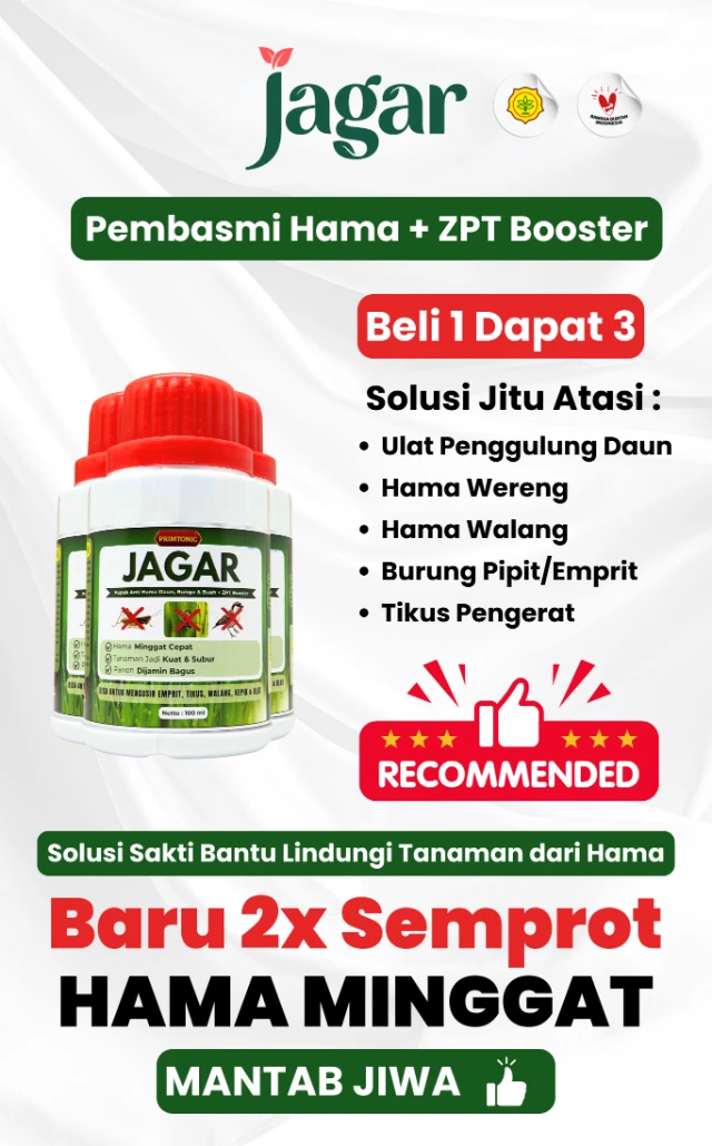 1767580822481-Jagar isi 3