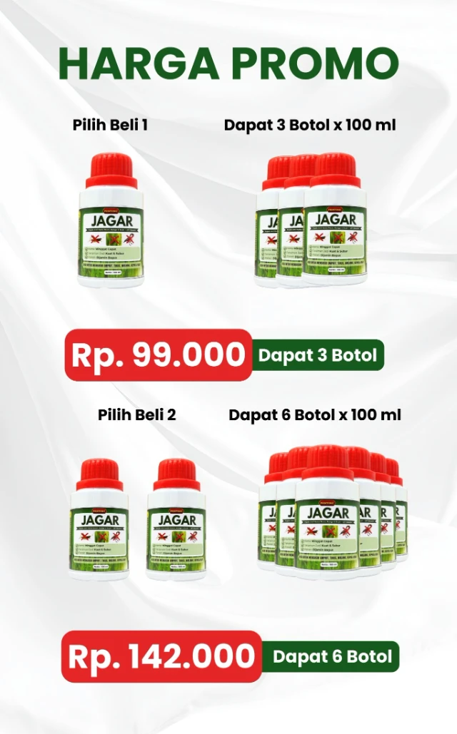 1767581416752-promo jagar isi 3