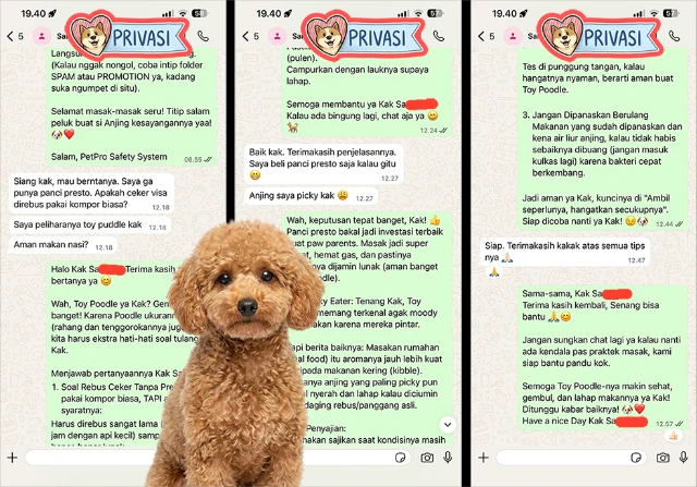 1767746846443-Sariwati Toy Puddle.webp