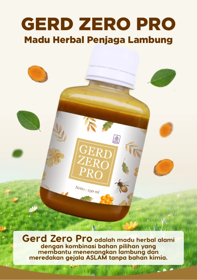 1767755845273-Landing Page Gerd Zero Pro Jan 26 - 3