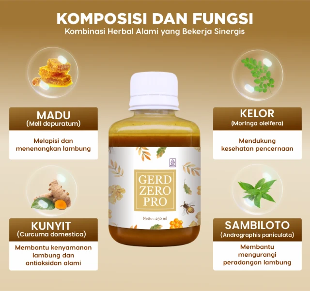 1767755857746-Landing Page Gerd Zero Pro Jan 26 - 4