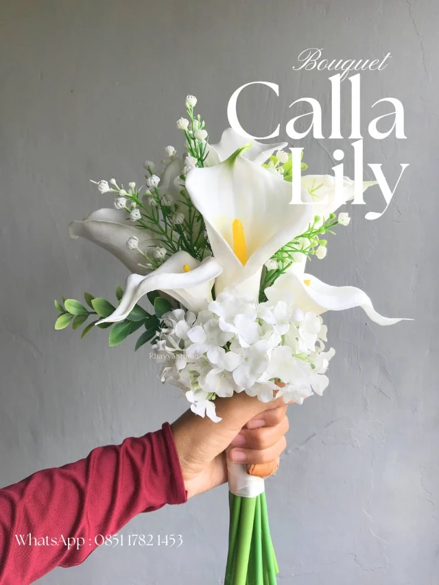 1768220553182-photo_2026-01-12_19-22-22