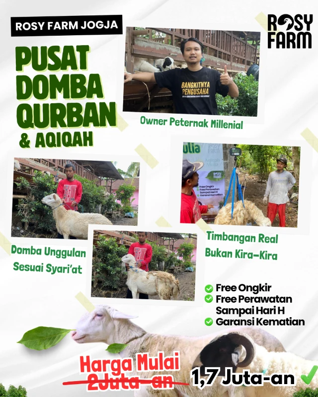 1768223696605-BOOKING SEKARANG