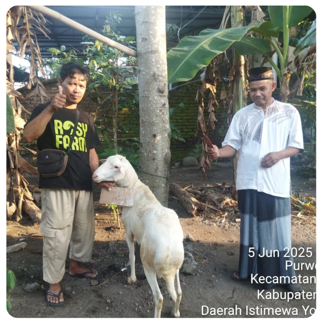 1768227639746-BOOKING SEKARANG (7).webp