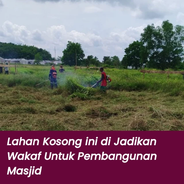 1768274104288-WhatsApp Image 2025-12-22 at 16.26.48