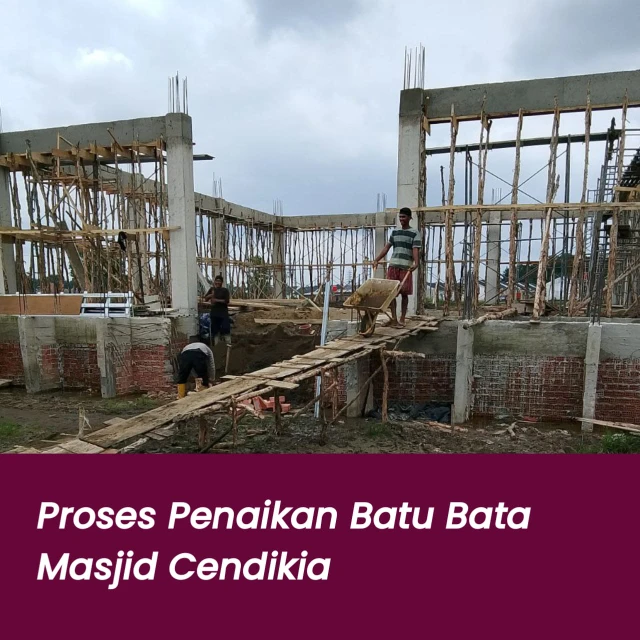 1768274288725-WhatsApp Image 2026-01-07 at 10.05.42