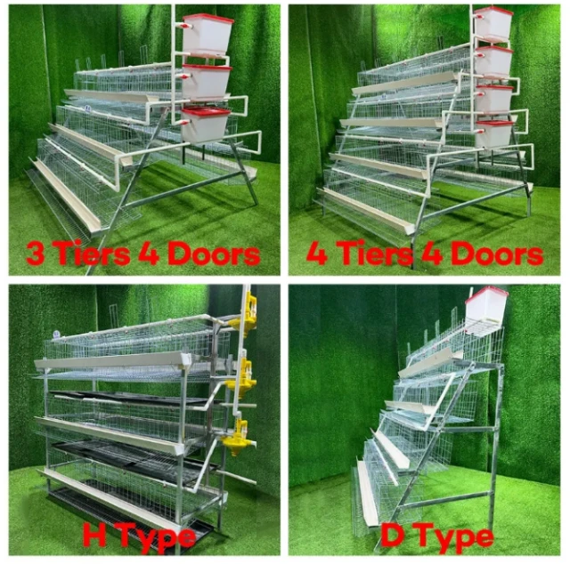 1768380517527-1000021606