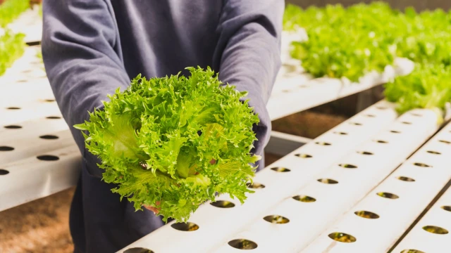 1768545319371-Untitled design