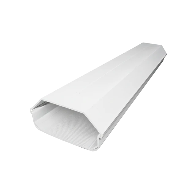 1768545614264-GULLY TRAPESIUM